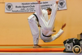 Judo-5